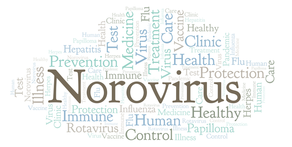 ノロウイルスってどんな病気？症状や治療方法を解説します